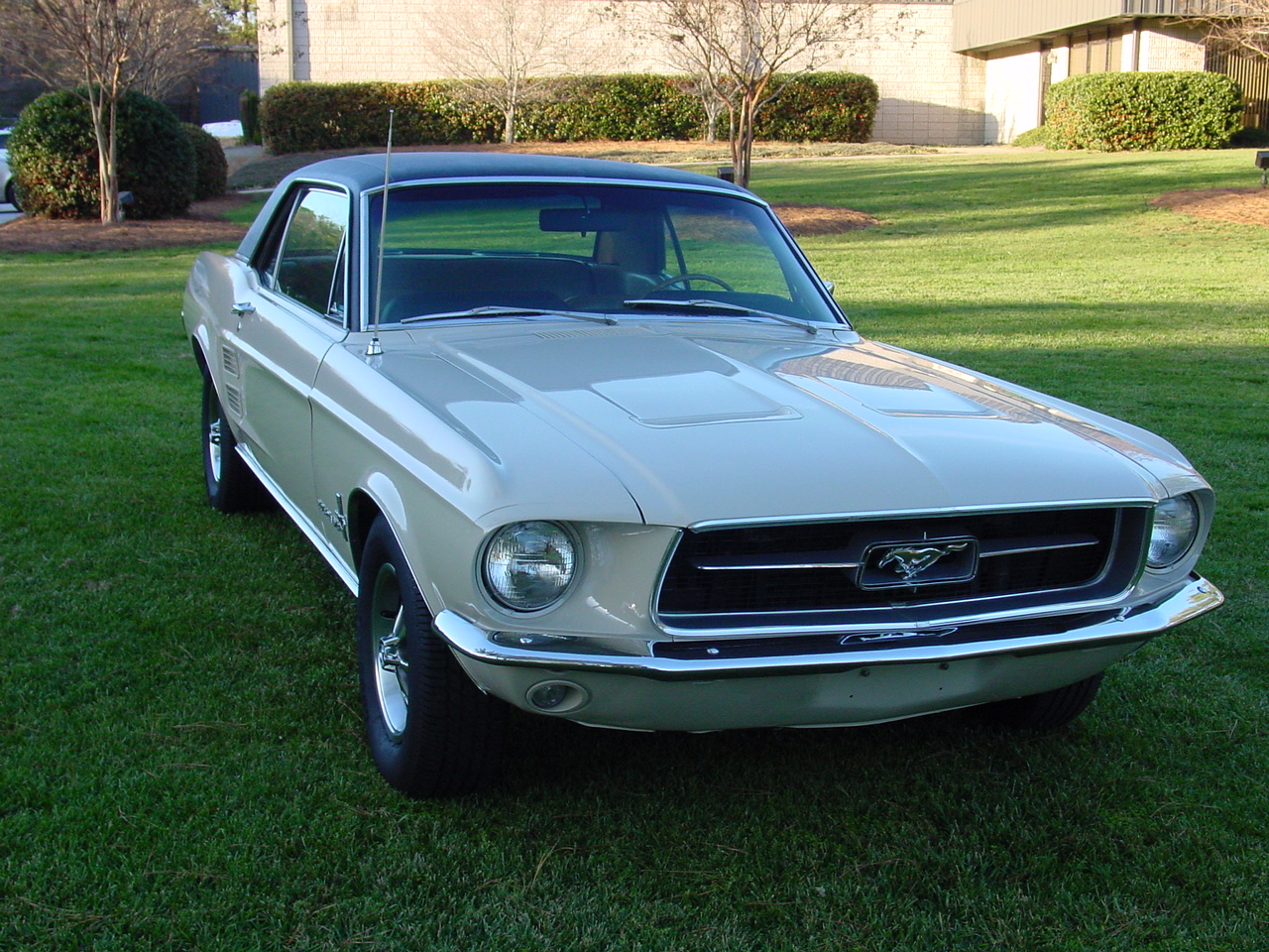 1967 Ford Mustang